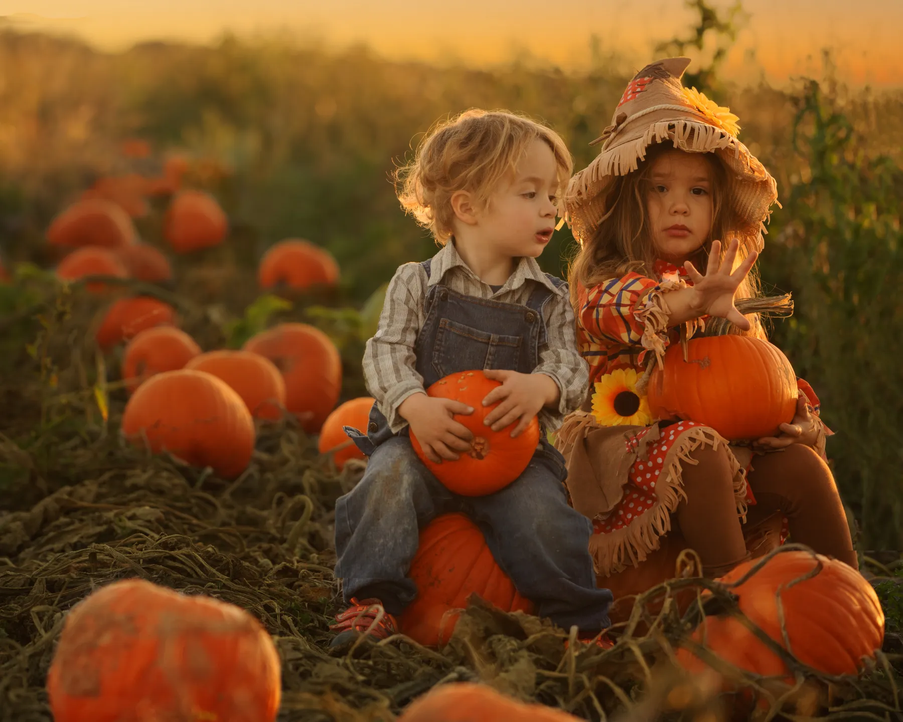 kinder
